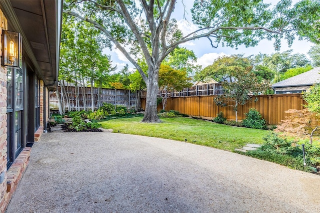 view of yard featuring a patio