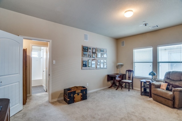 sitting room with light carpet and a textured ceiling