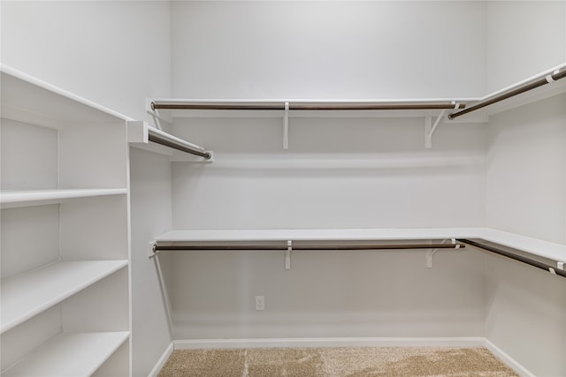 walk in closet with carpet flooring