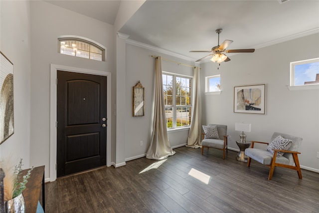 entryway featuring ceiling fan, crown molding, a wealth of natural light, and dark hardwood / wood-style flooring