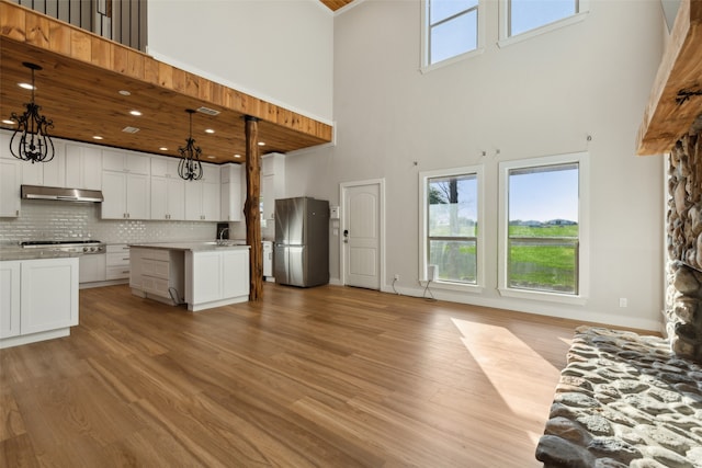 kitchen featuring stainless steel appliances, a high ceiling, and light hardwood / wood-style flooring