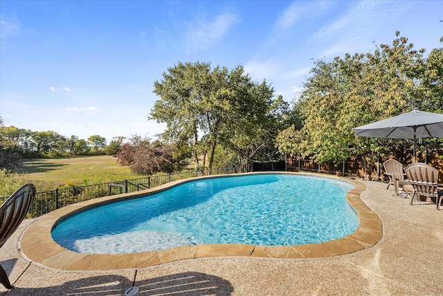 view of pool with a patio area