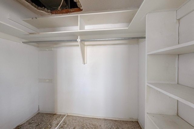 view of spacious closet