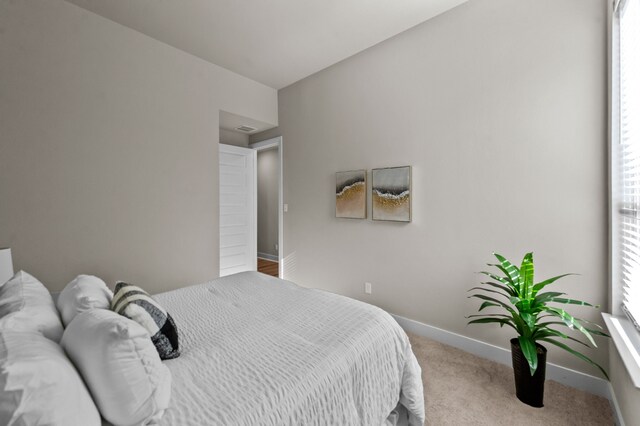 bedroom with carpet flooring