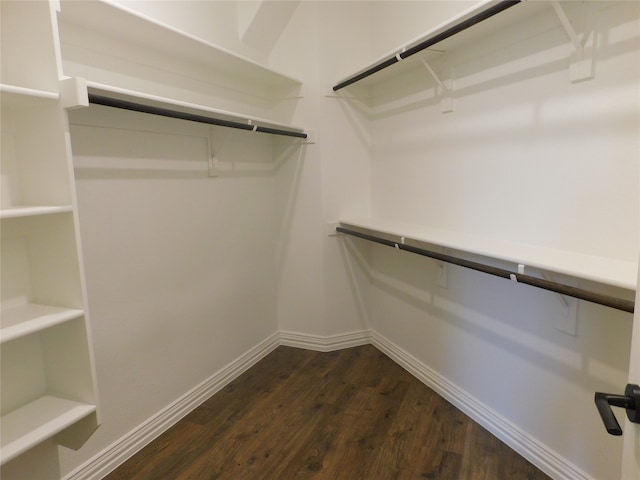 walk in closet featuring dark wood-type flooring