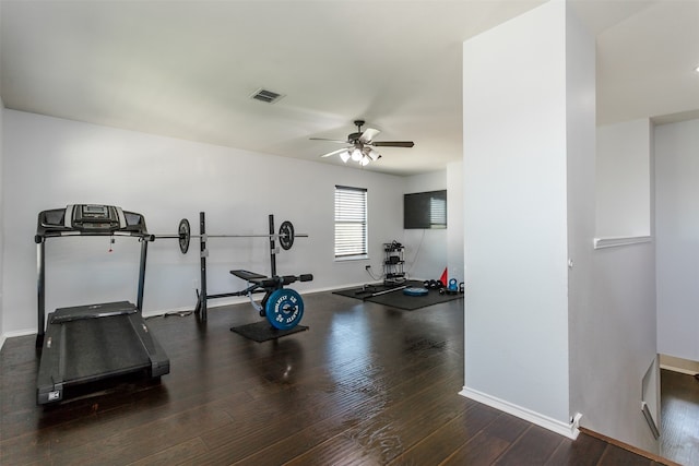 workout area featuring ceiling fan and dark hardwood / wood-style flooring