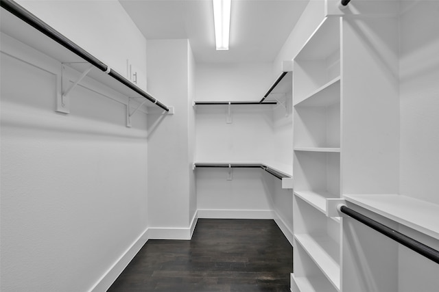 walk in closet with dark hardwood / wood-style floors