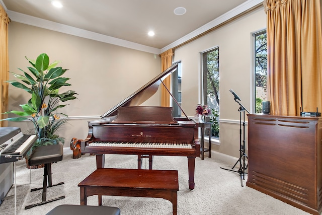 miscellaneous room with ornamental molding and light colored carpet