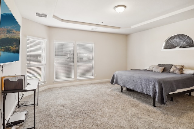 carpeted bedroom featuring a tray ceiling