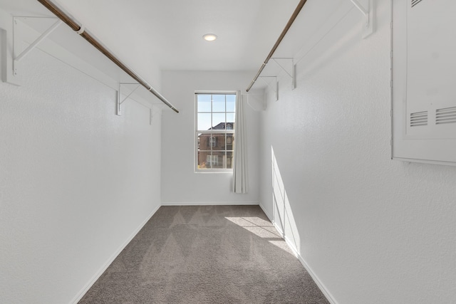 walk in closet with light colored carpet