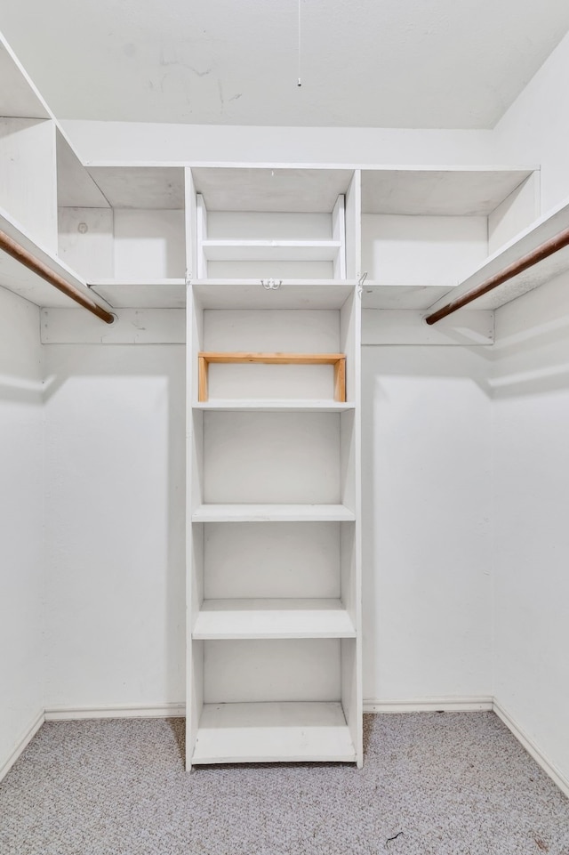 spacious closet featuring light carpet