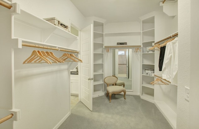 spacious closet with light carpet