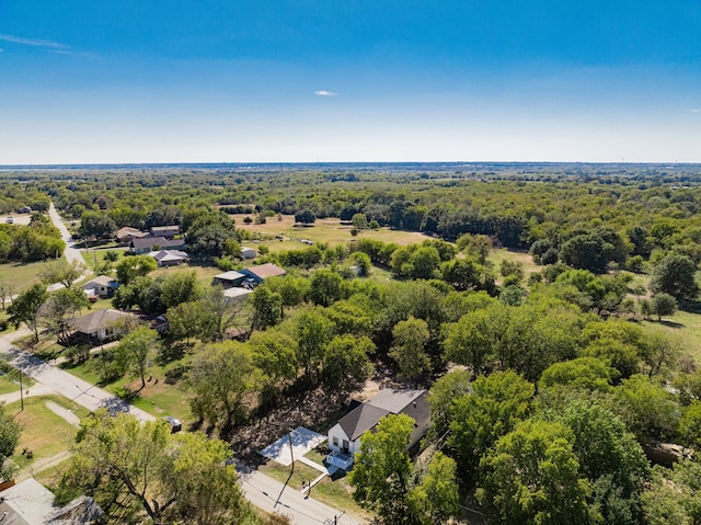 bird's eye view