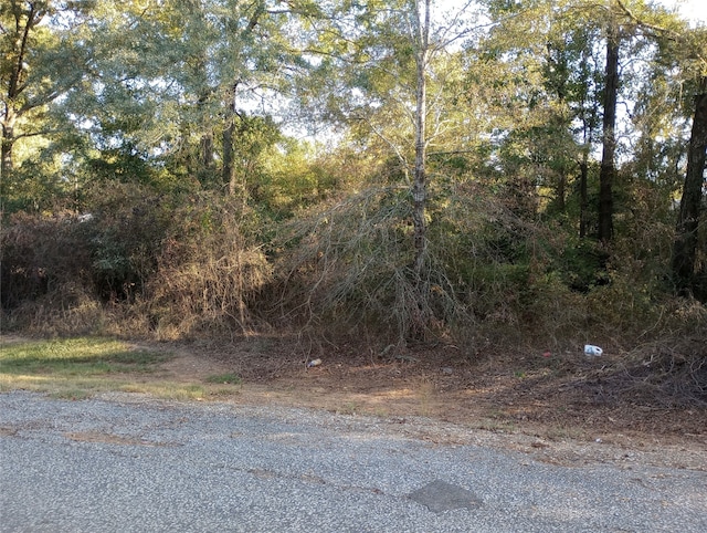 Listing photo 2 for TBD White Rd, Frierson LA 71027