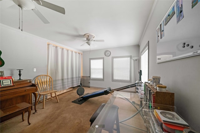 exercise room featuring a wealth of natural light, crown molding, and carpet flooring