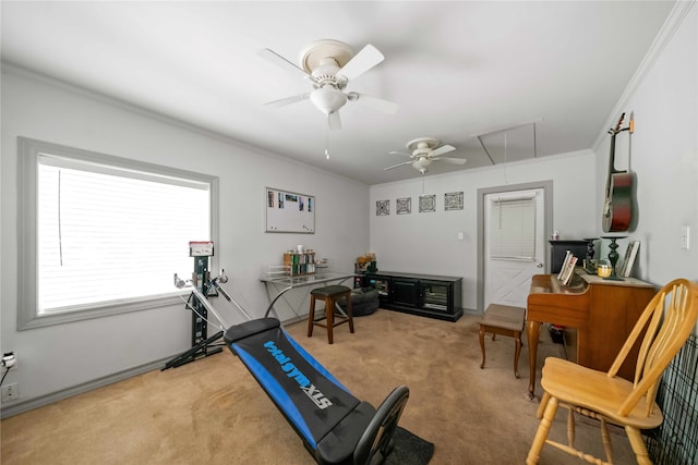 exercise room with crown molding, carpet floors, and ceiling fan