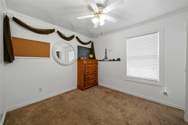 unfurnished bedroom with ceiling fan, ornamental molding, and carpet floors