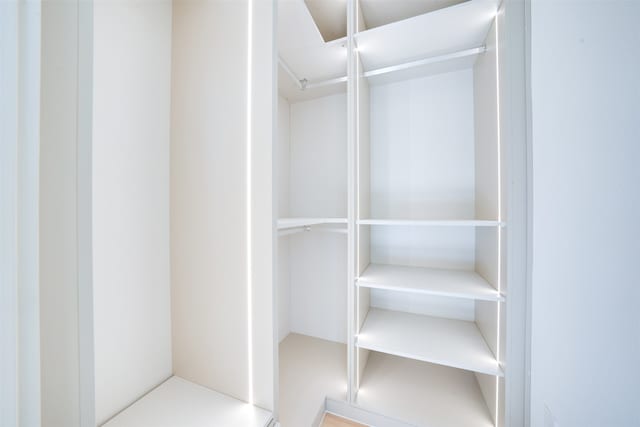 view of walk in closet