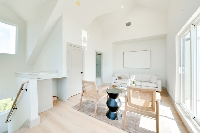 bathroom with hardwood / wood-style floors and high vaulted ceiling