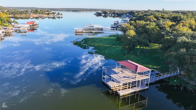 drone / aerial view with a water view