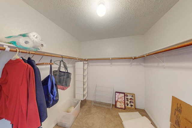 spacious closet featuring light colored carpet