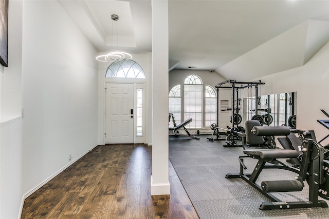 foyer entrance featuring dark wood-type flooring and lofted ceiling