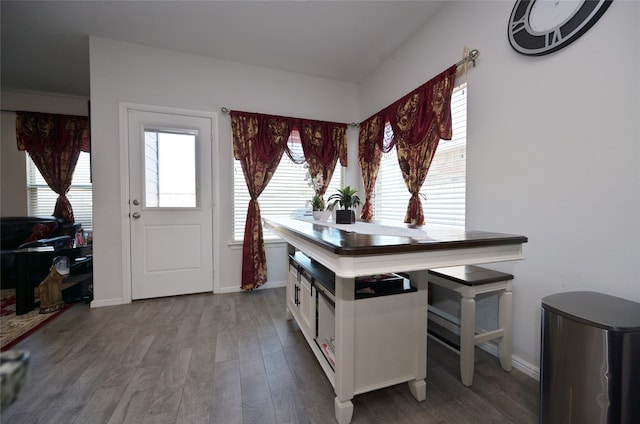 interior space featuring hardwood / wood-style floors