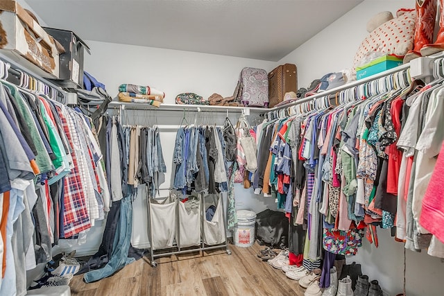 spacious closet with hardwood / wood-style floors