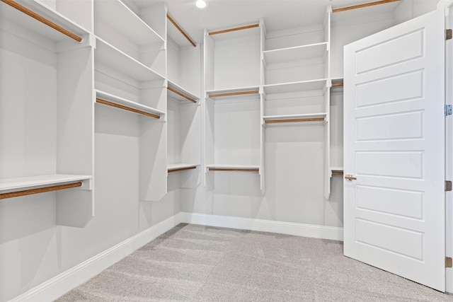 walk in closet with light carpet