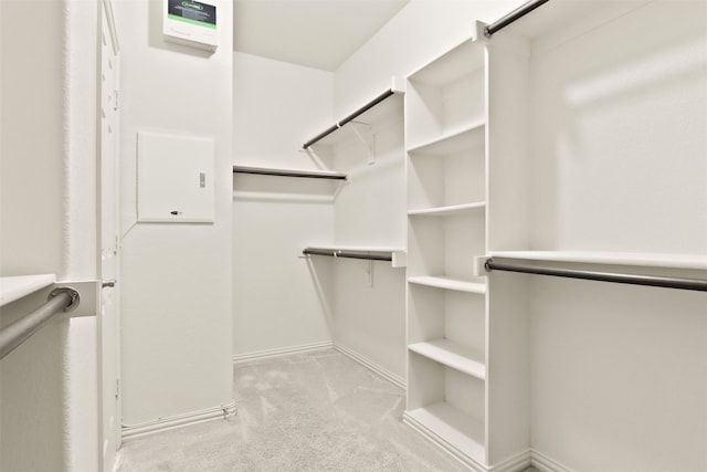 walk in closet with light colored carpet