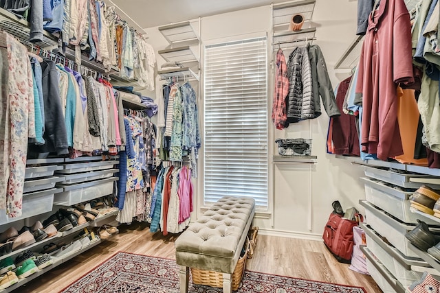 spacious closet with light wood-type flooring