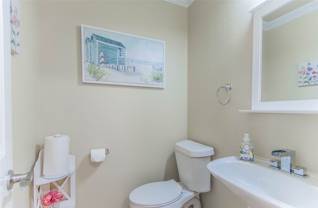 bathroom with toilet and ornamental molding