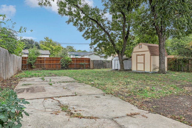 view of yard featuring a patio area and a storage shed