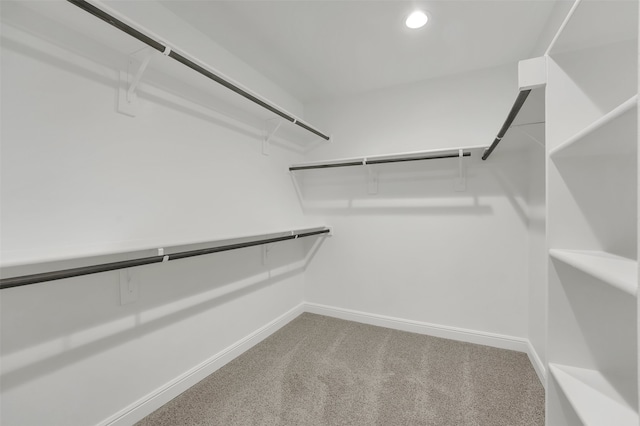 spacious closet featuring carpet floors