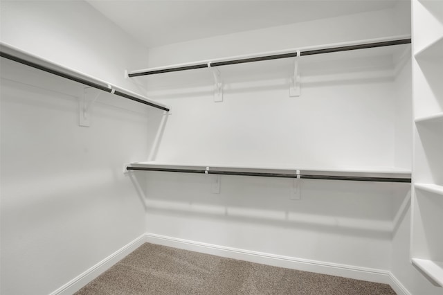 walk in closet with carpet flooring