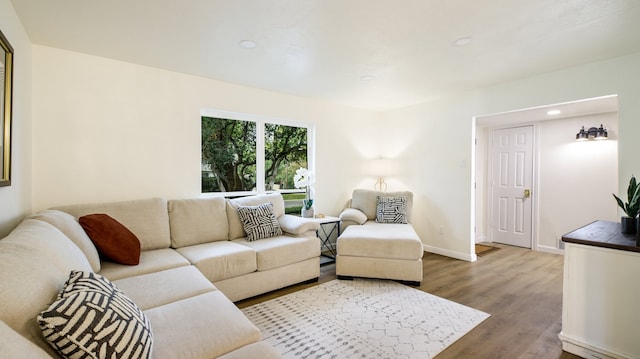 living room featuring hardwood / wood-style floors