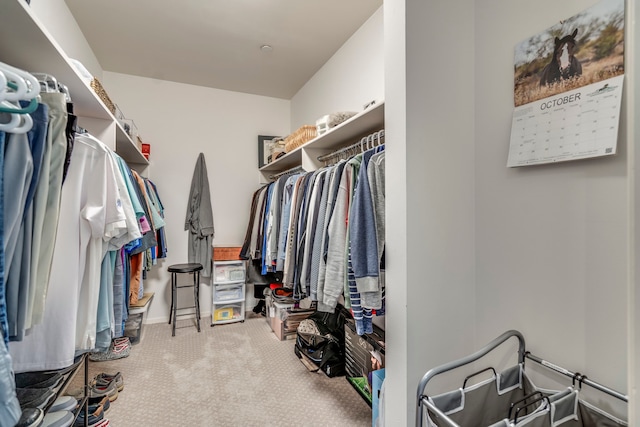 walk in closet with carpet flooring