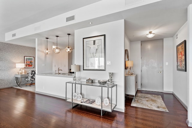 foyer entrance featuring dark hardwood / wood-style flooring