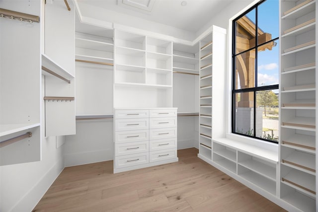 spacious closet with light wood-type flooring