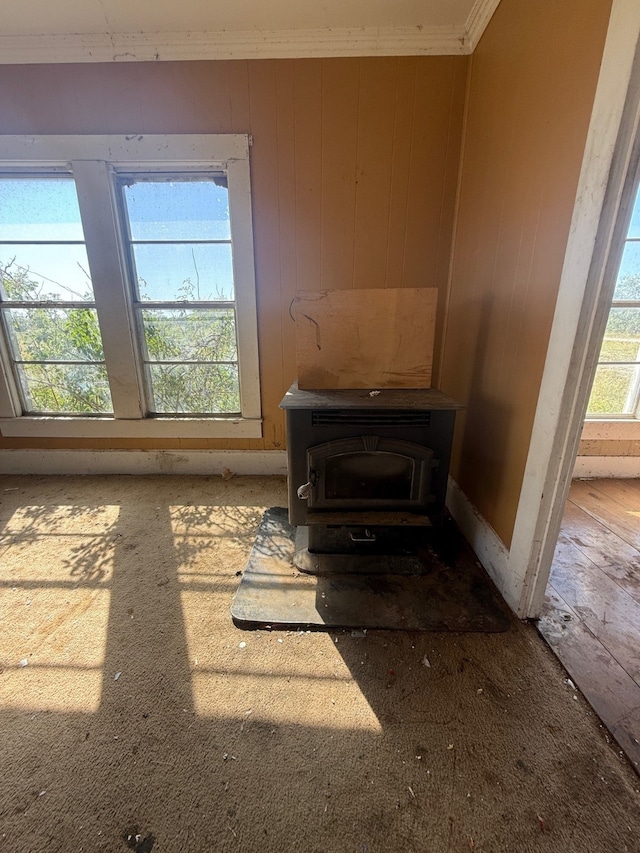 details featuring a wood stove