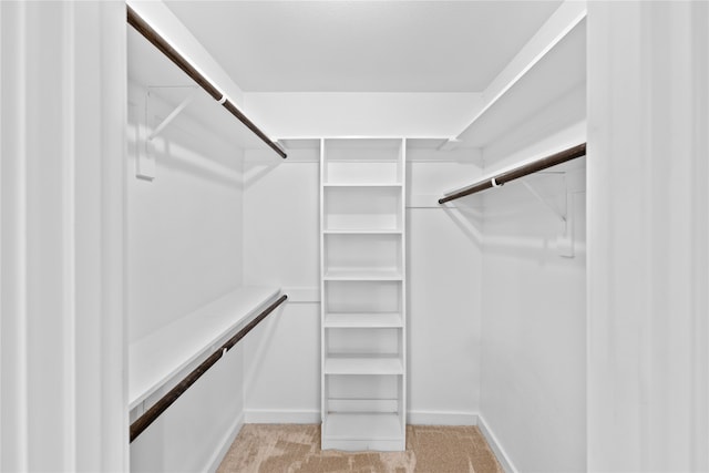 walk in closet featuring light colored carpet