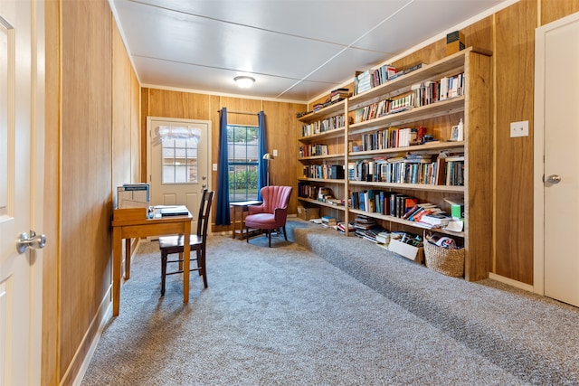 living area with wooden walls and carpet flooring