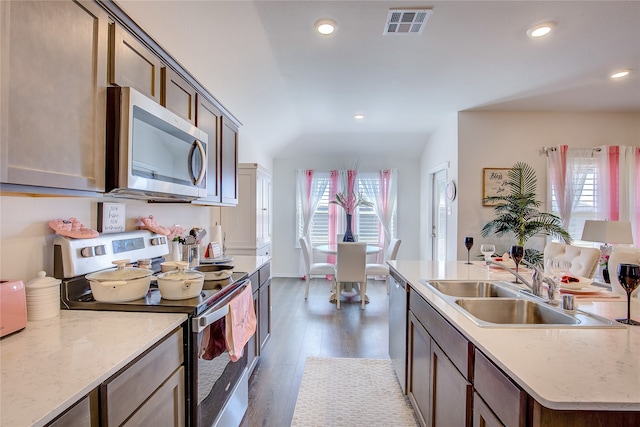 kitchen with lofted ceiling, appliances with stainless steel finishes, a healthy amount of sunlight, and dark hardwood / wood-style flooring