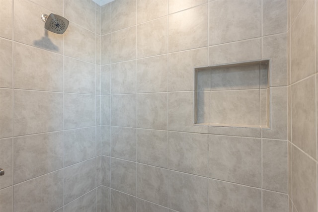 interior details featuring a tile shower