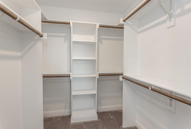 113 Bailey Ranch Dr, Lindsay, TX 76240 - spacious closet featuring carpet floors