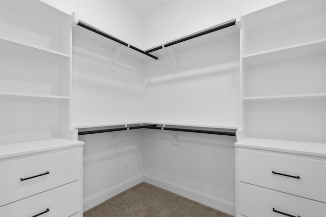 walk in closet with light colored carpet