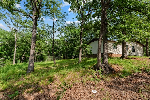 112 Crocker Rd, Malakoff, TX 75148 - view of yard