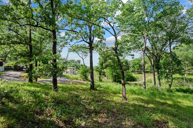 112 Crocker Rd, Malakoff, TX 75148 - view of yard