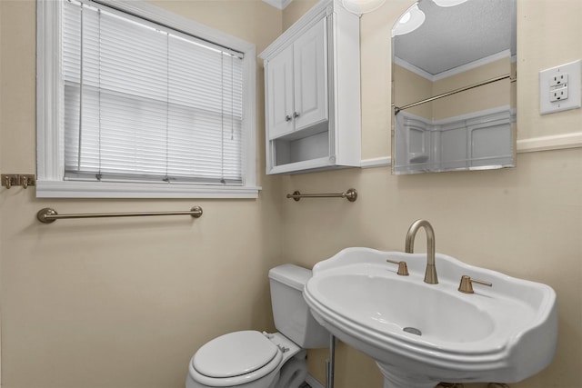 bathroom with crown molding, toilet, sink, and a textured ceiling