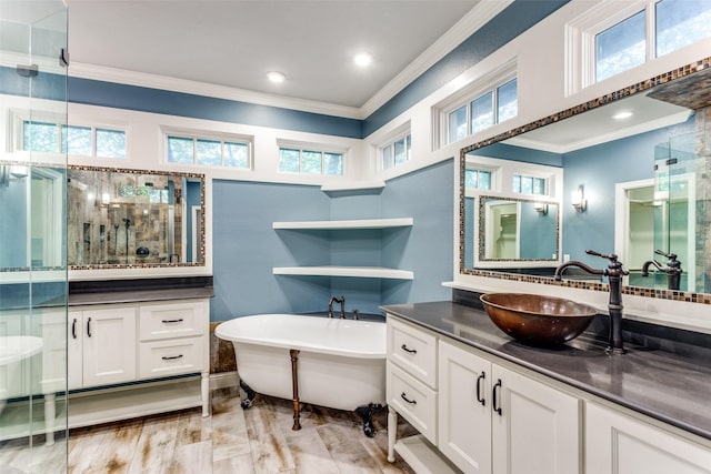 bathroom featuring vanity, ornamental molding, and a wealth of natural light